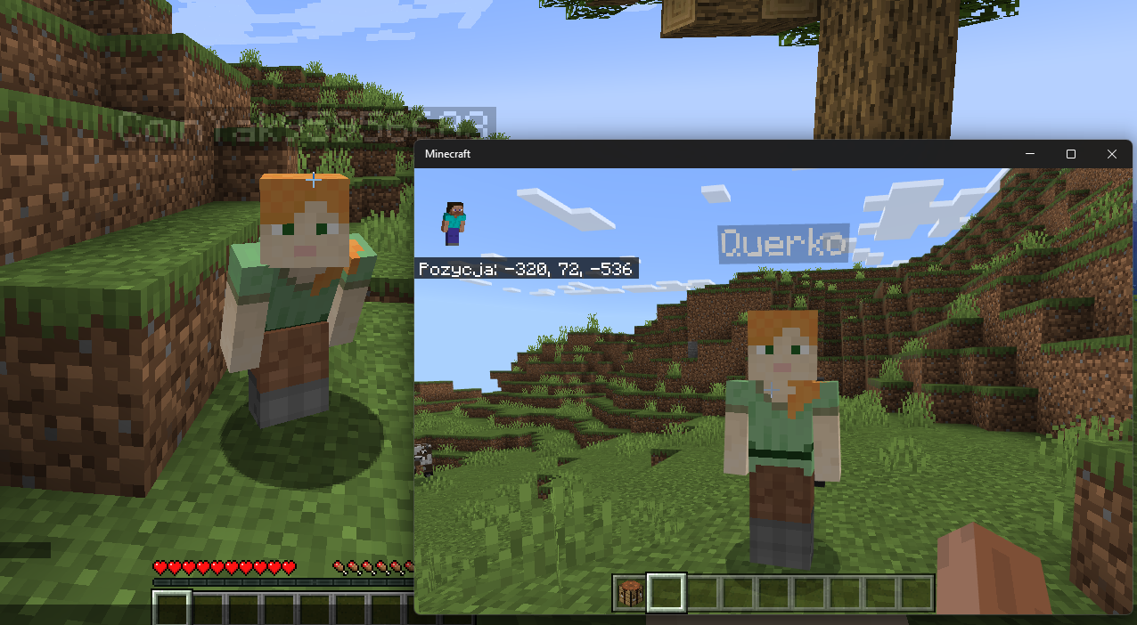 geysermc-ingame.png